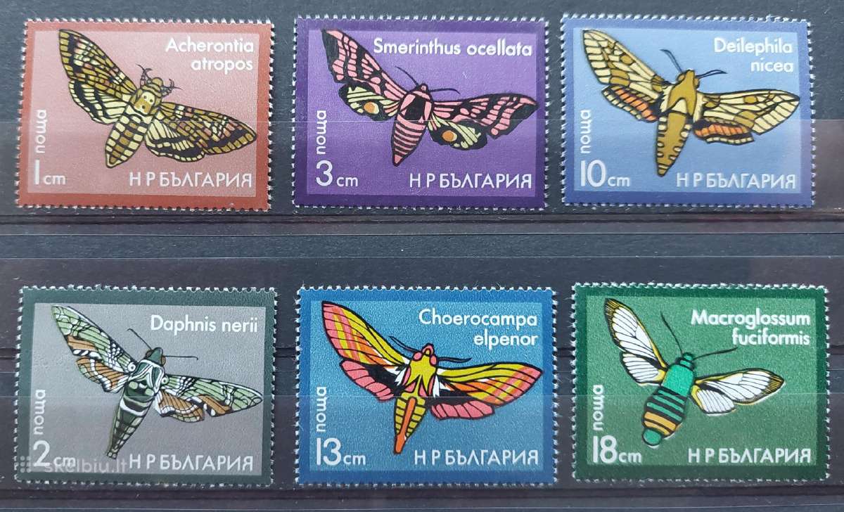 Bulgarija 1975 drugeliai , švarus, Michel 2436-244