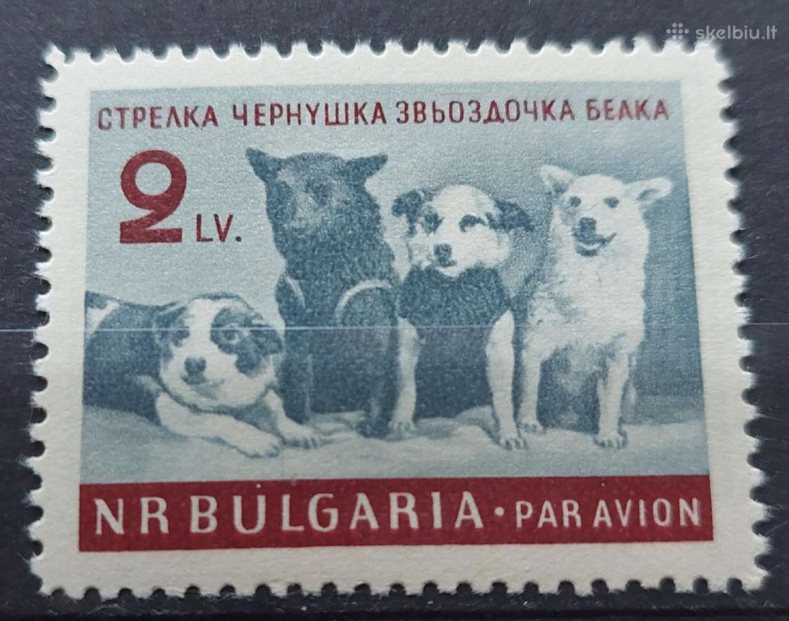 Bulgarija 1961 šunis , švarus, Michel 1249