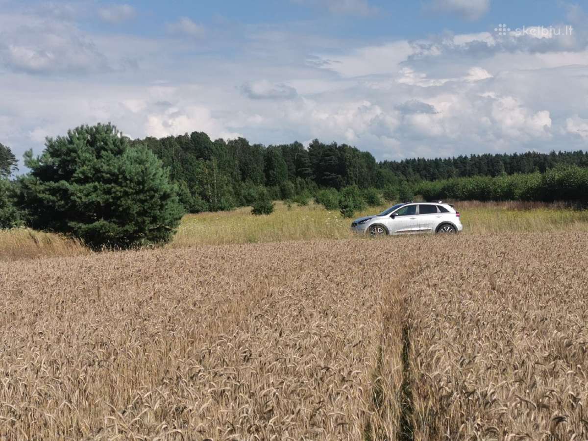 Sklypas Lazdininkų kaime 37 a - nuotraukos Nr. 4