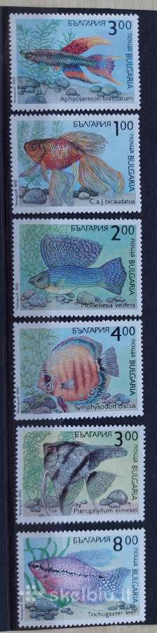 Bulgarija 1993 akvariumo žuvys, švarus, Michel 404