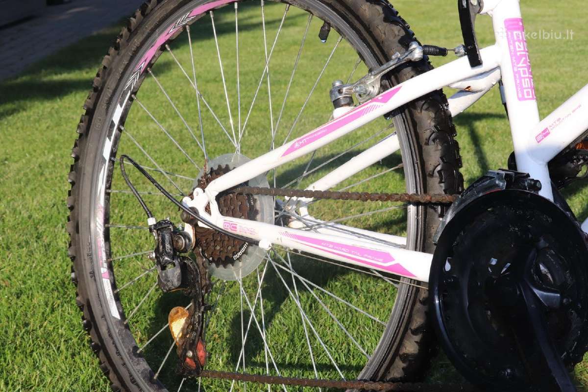 Interbike calypso 13.5" 24"ratai - nuotraukos Nr. 5