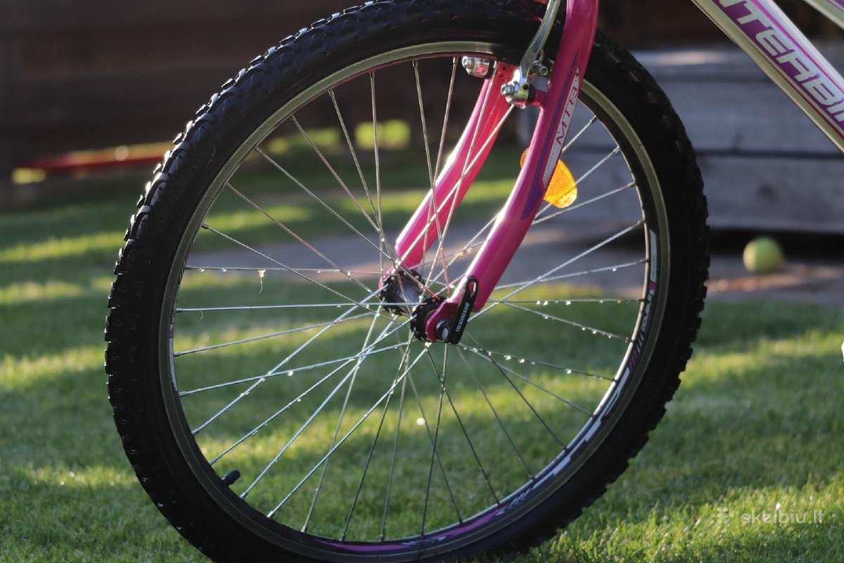 Interbike calypso 13.5" 24"ratai - nuotraukos Nr. 11