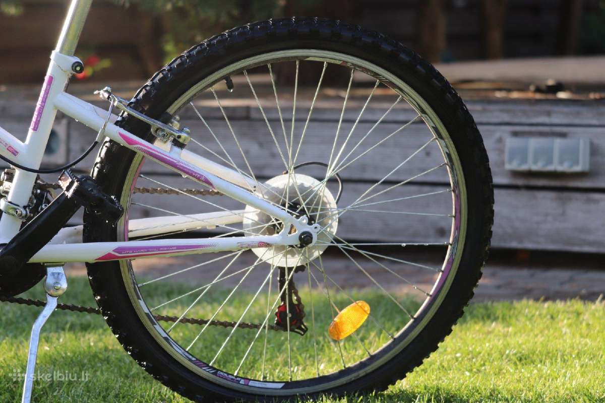 Interbike calypso 13.5" 24"ratai - nuotraukos Nr. 12