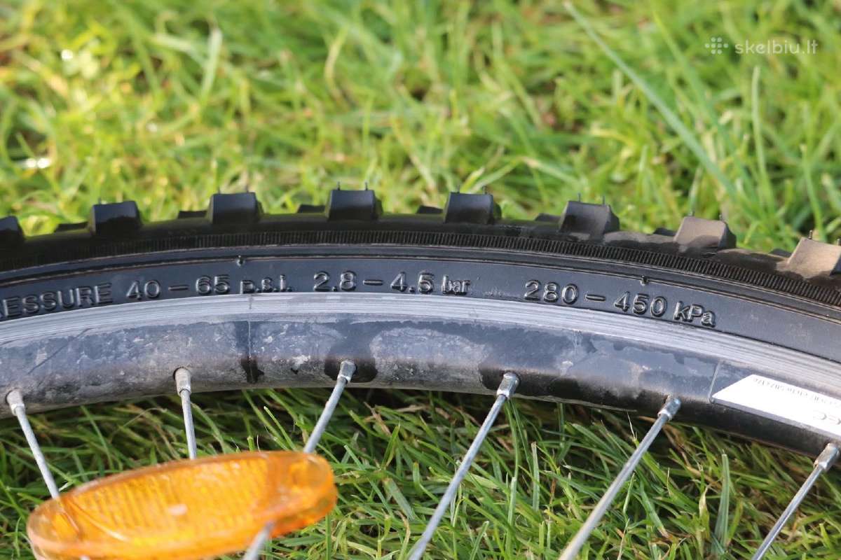Interbike calypso 13.5" 24"ratai - nuotraukos Nr. 13