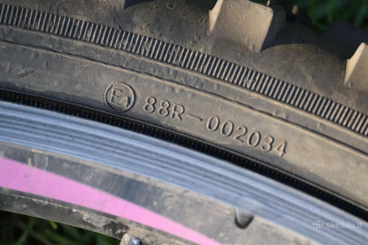 Interbike calypso 13.5" 24"ratai - nuotraukos Nr. 16