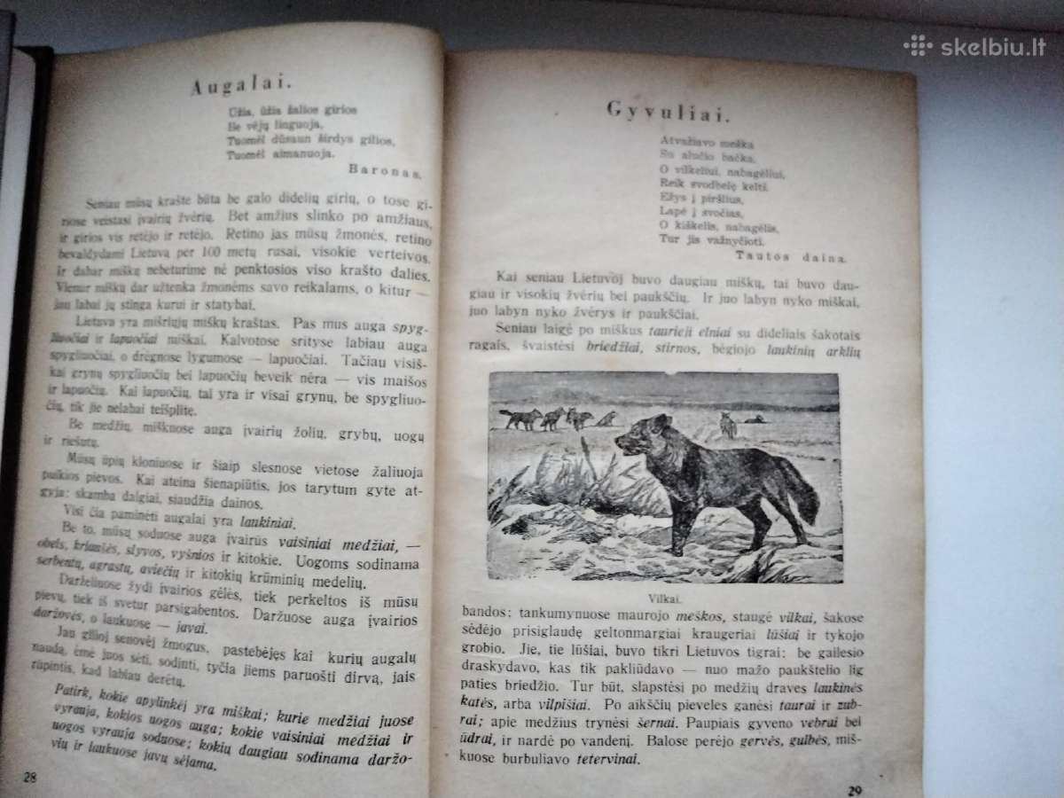 P. Šinkūnas. Geografijos vadovėlis. 1936 m. - nuotraukos Nr. 7