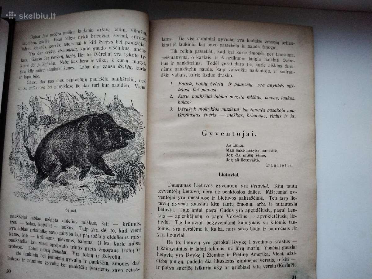 P. Šinkūnas. Geografijos vadovėlis. 1936 m. - nuotraukos Nr. 8