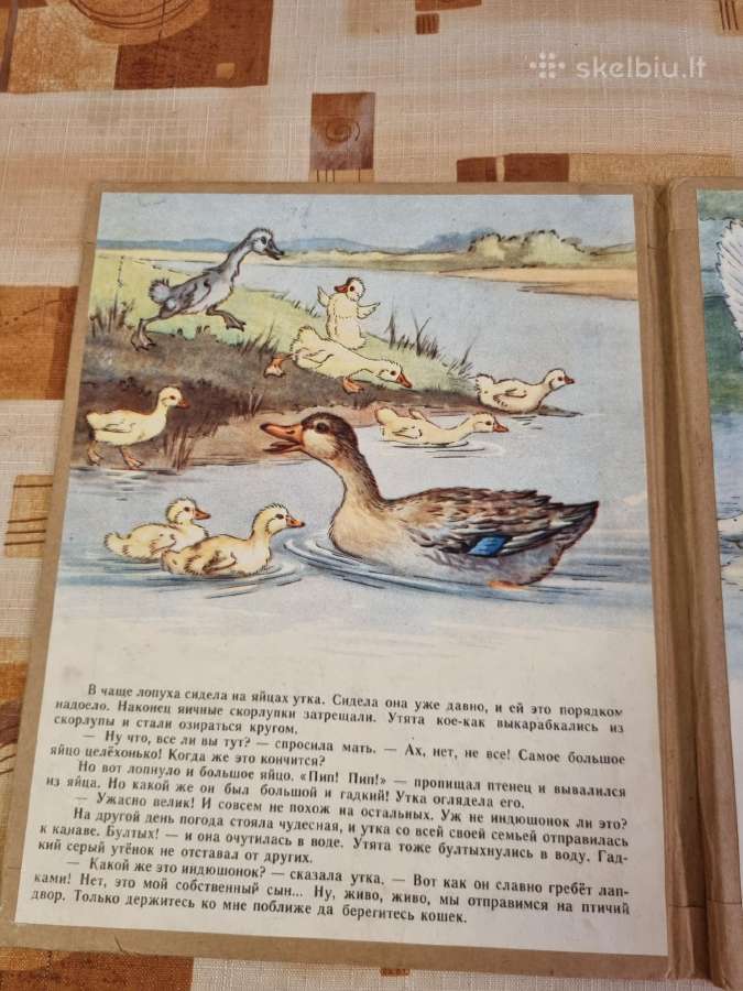 Bjaurusis ančiukas - nuotraukos Nr. 2