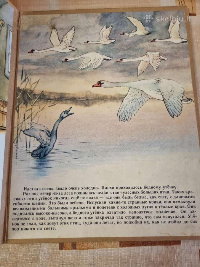 Bjaurusis ančiukas - nuotraukos Nr. 4