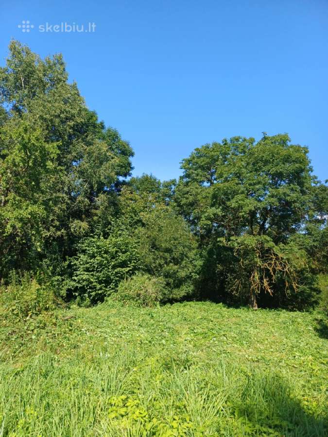 Sklypas istorinio Jakšiškio dvaro kaimynystėje - nuotraukos Nr. 3