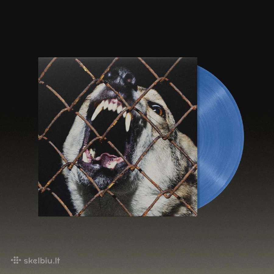 Ba. – Turtas Vinyl Lp Transparent Blue - nuotraukos Nr. 2