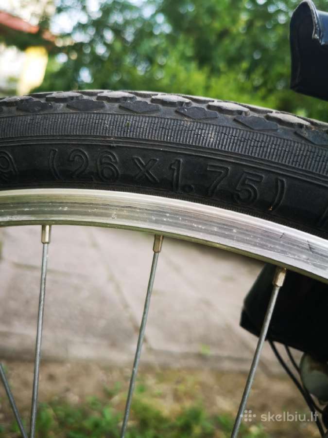 Dviratis Cycles King, pilkos/juodos /sidabrinės sp - nuotraukos Nr. 3