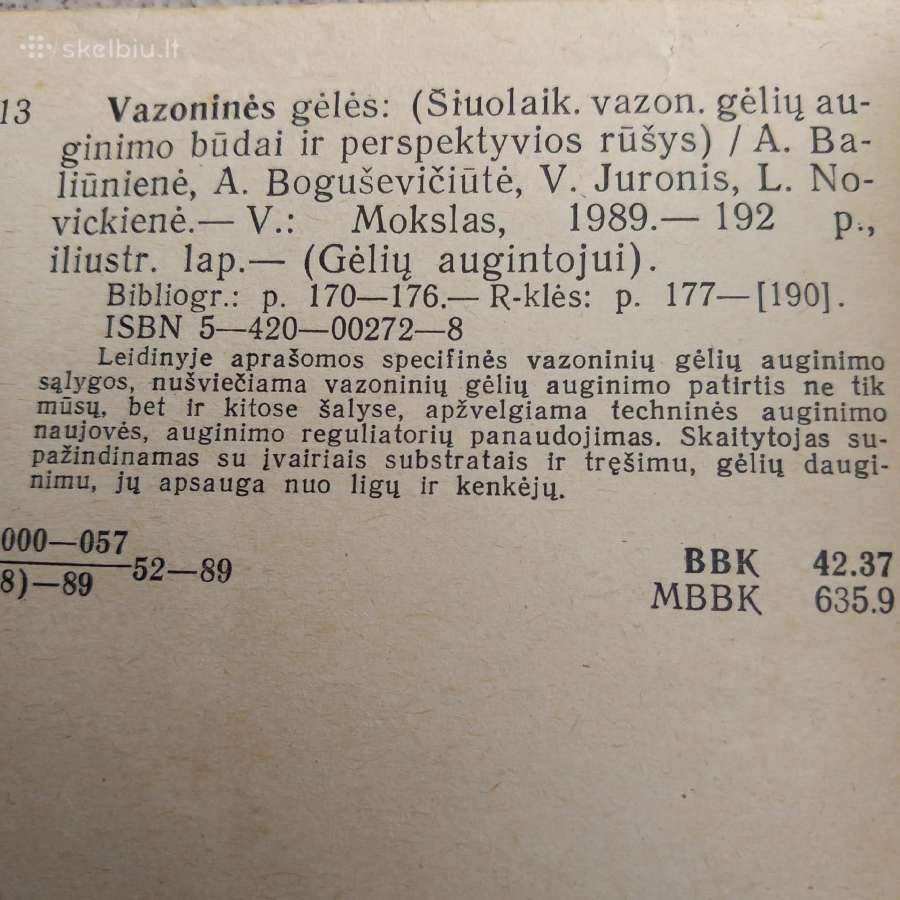 Vazoninės gėlės - nuotraukos Nr. 2