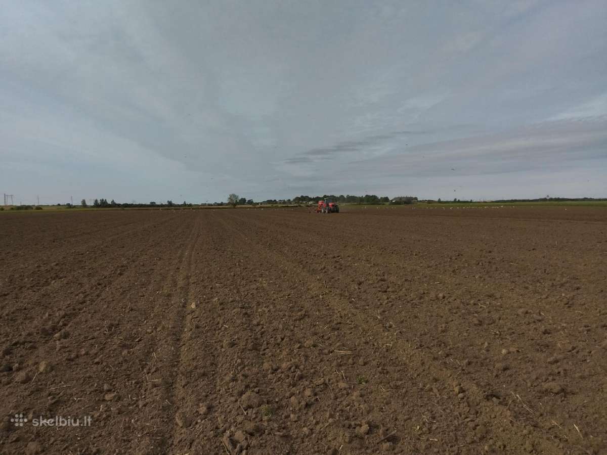 Išsinuomočiau dirbamos žemės Šiaulių r. ir aplink - nuotraukos Nr. 4