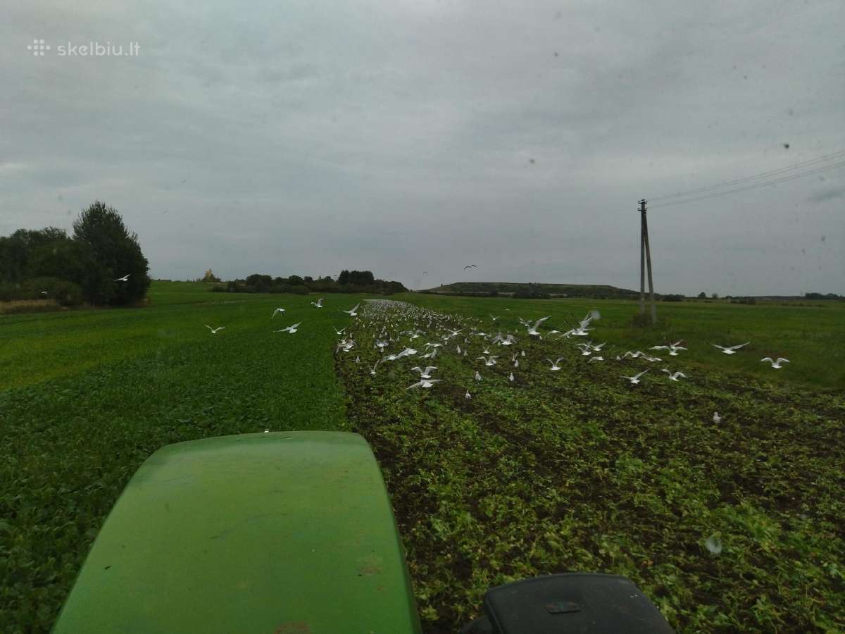 Išsinuomočiau dirbamos žemės Šiaulių r. ir aplink - nuotraukos Nr. 3