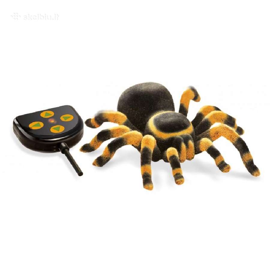 Tarantulas valdomas radijo bangom Buki - nuotraukos Nr. 2