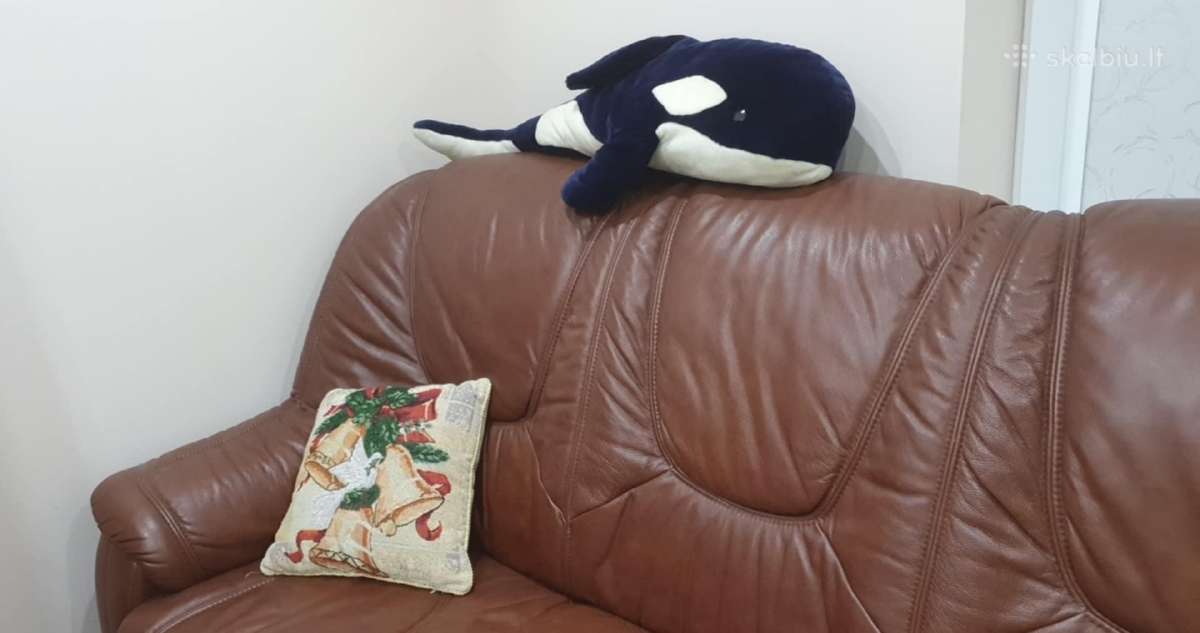 Sofa - nuotraukos Nr. 4