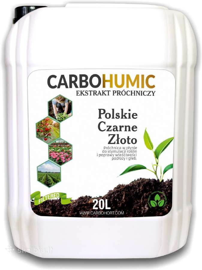 Šaldyti, elitiniai braškių daigai Henselmans (Olan - nuotraukos Nr. 18