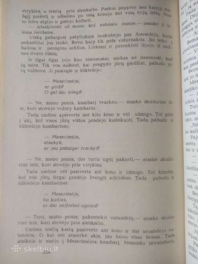 Švedų pasakos "Piemenukas ir elfų karalius" - nuotraukos Nr. 8