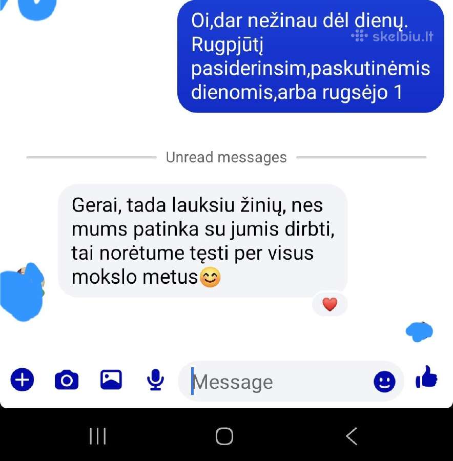 Lietuvių kalbos mokytoja korepetitorė - nuotraukos Nr. 17