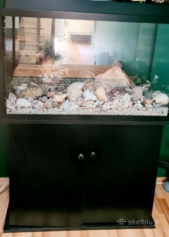Akvariumas