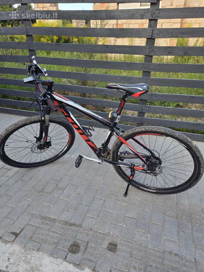 Scott aspect M dydis
