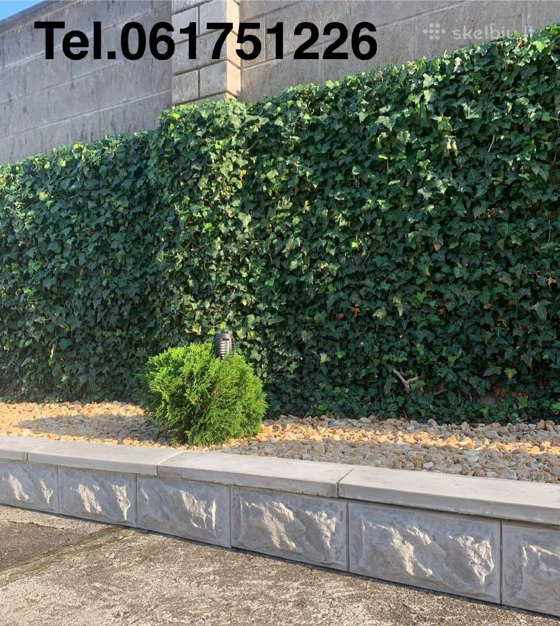 Pigiausi blokeliai - nuotraukos Nr. 15