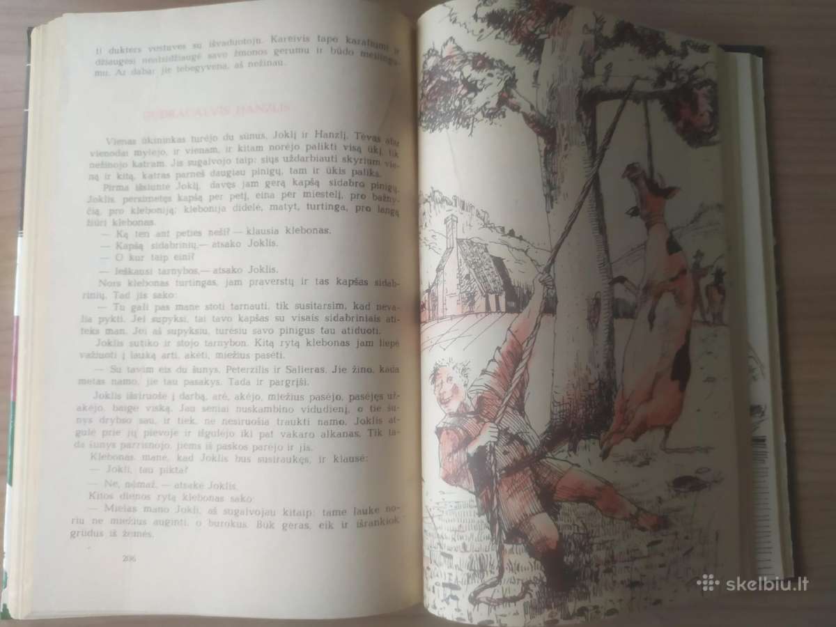 Austrų pasakos "Septynios stirnos" - nuotraukos Nr. 10