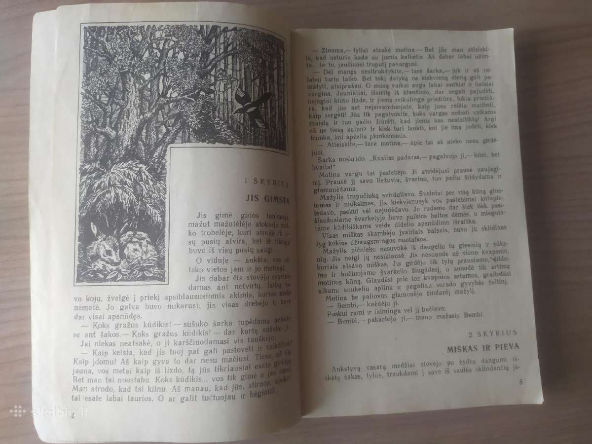 Feliksas Zaltenas "Bembis. Bembio vaikai" - nuotraukos Nr. 10