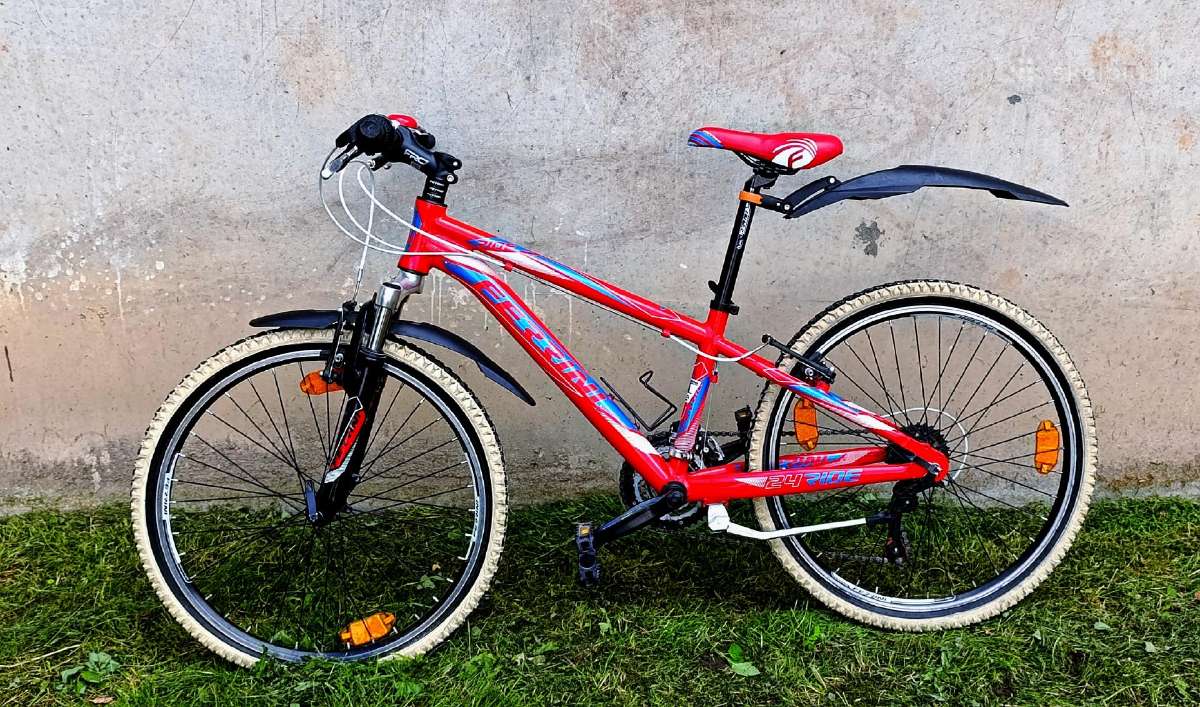 Ferrini 24 ride kalnu dviratis
