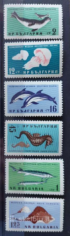 Bulgarija 1961 jūros fauna, švarus, Michel 1243-12