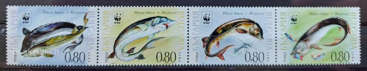Bulgarija 2004 Wwf žuvis, švarus, Michel 4678-4681