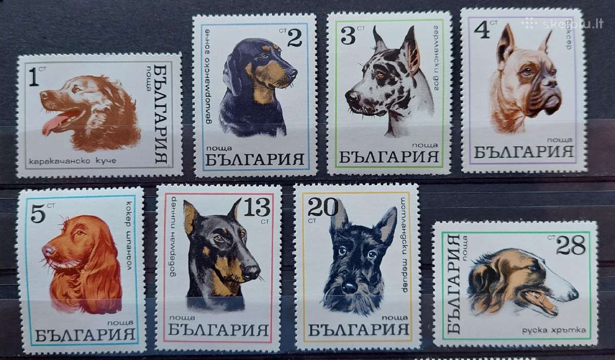 Bulgarija 1970 šunis, švarus, Michel 2021-2028