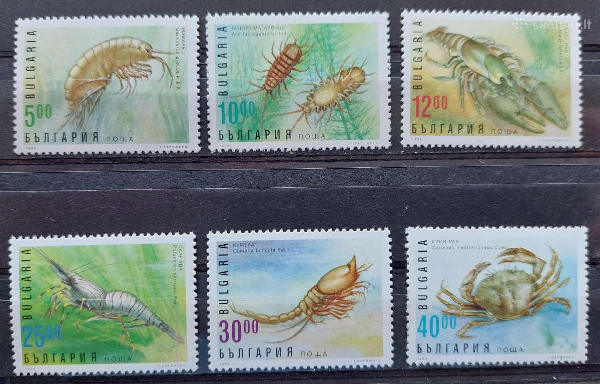 Bulgarija 1996 jūros fauna, švarus, Michel 4238-42
