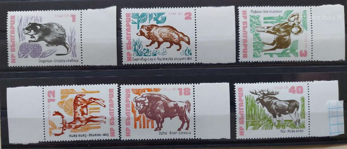 Bulgarija 1973 gyvūnai, švarus, Michel 2248-2253
