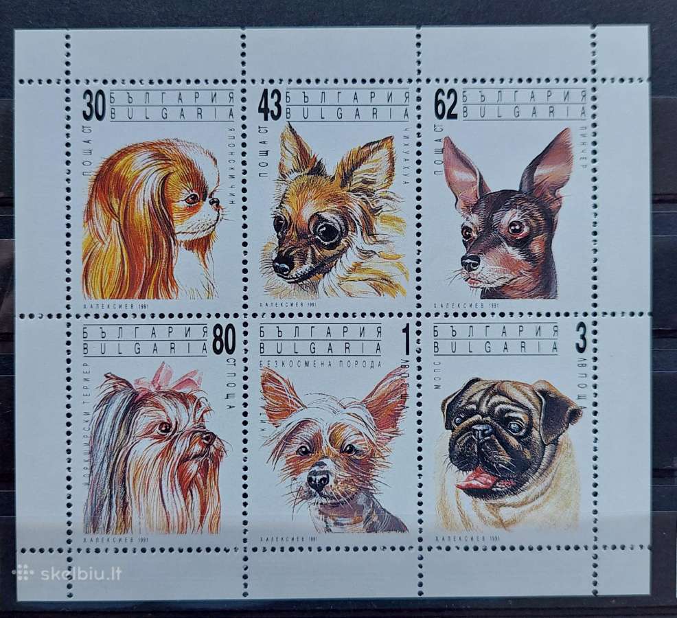 Bulgarija 1991 šunis, švarus,lapelis Michel 3929-3