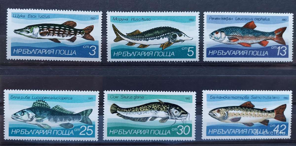 Bulgarija 1983 žuvis, švarus, Michel 3158-3163