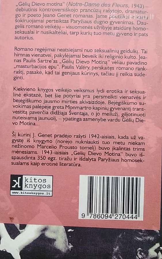 Gėlių Dievo motina - nuotraukos Nr. 3