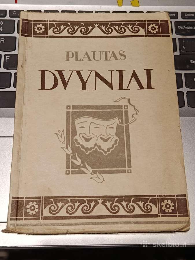 Plaustas Dvyniai