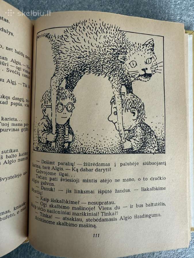 Knyga Danuko Dunduliuko nuotykiai - nuotraukos Nr. 3