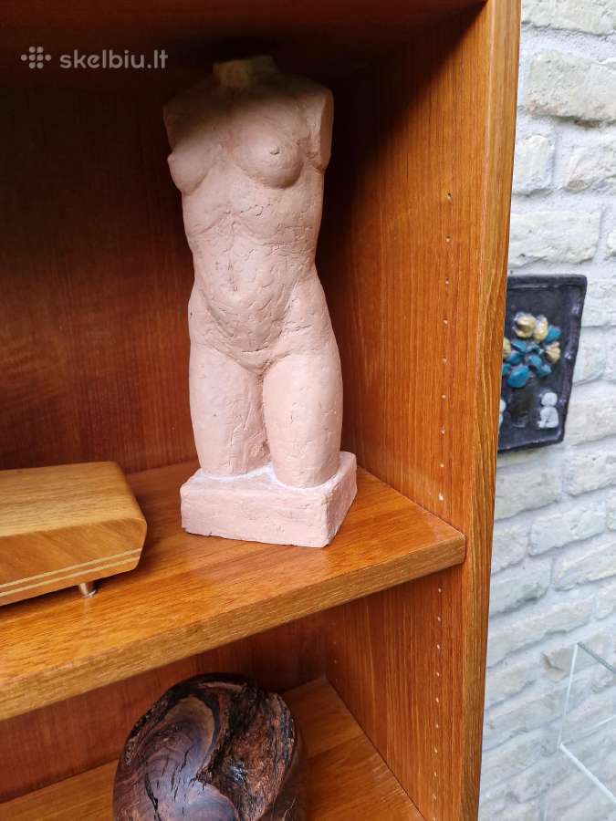 Vintažinė mid century tikmedžio knygų lentyna - nuotraukos Nr. 25