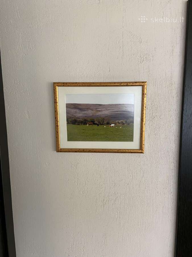 Nuotrauka/nuotrauka