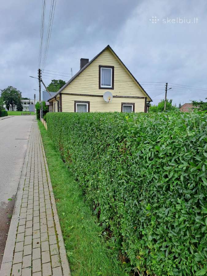 Gyvatvorių karpymas, žeminimas, formavimas - nuotraukos Nr. 17