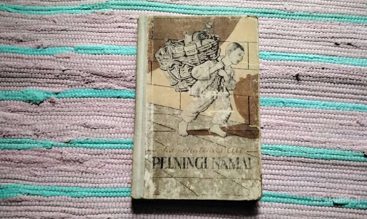 Pelningi namai Ali Sabachatinas