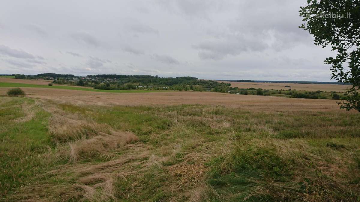Parduodu Satiju km. zemes ukio 1,55 ha.saltinio g. - nuotraukos Nr. 3