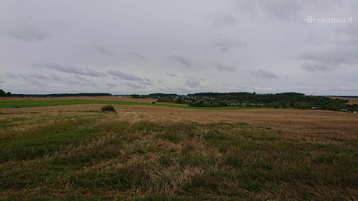 Parduodu Satiju km. zemes ukio 1,55 ha.saltinio g. - nuotraukos Nr. 4
