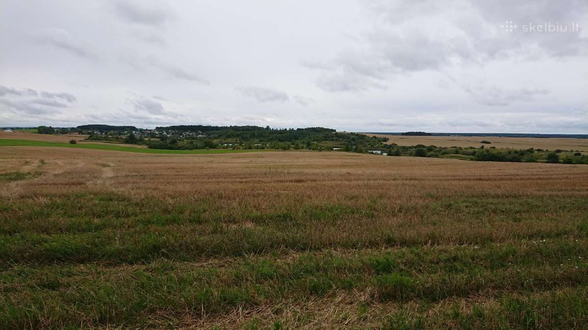 Parduodu Satiju km. zemes ukio 1,55 ha.saltinio g. - nuotraukos Nr. 5