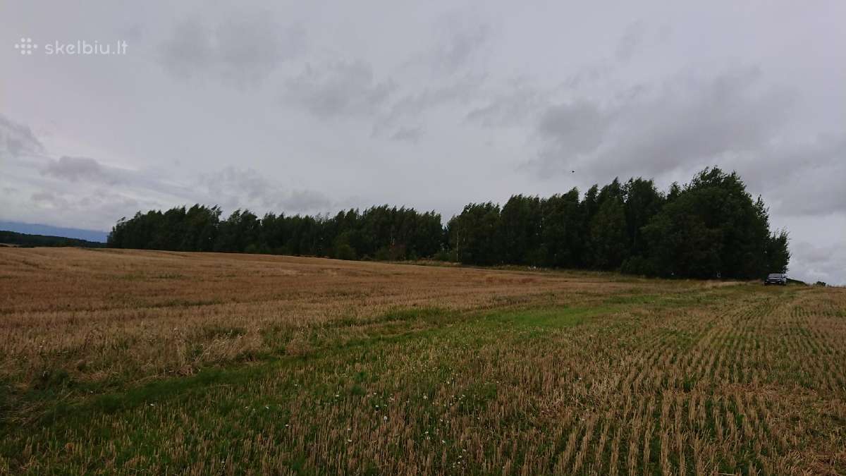Parduodu Satiju km. zemes ukio 1,55 ha.saltinio g. - nuotraukos Nr. 6