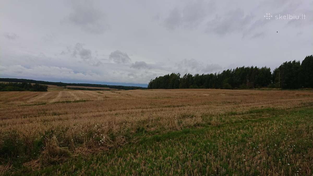Parduodu Satiju km. zemes ukio 1,55 ha.saltinio g. - nuotraukos Nr. 7