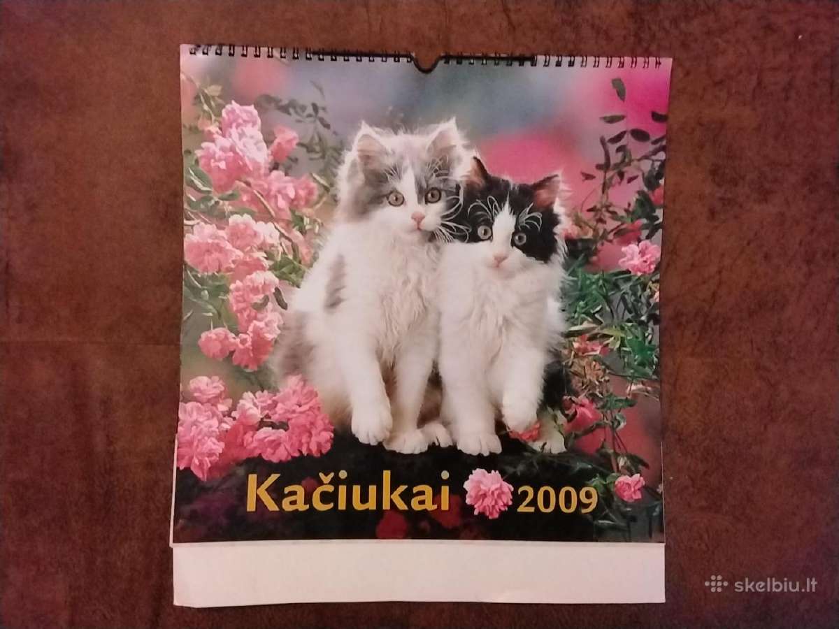 Kalendorius kačiukai